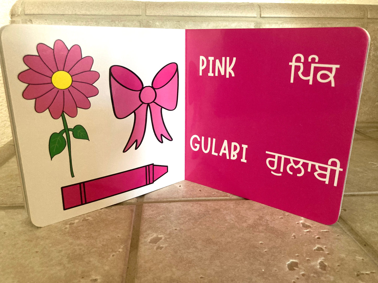Let's Learn Colors! In Panjabi and English